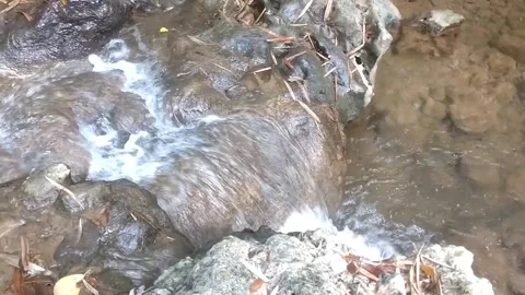Clear Stream Flowing Over River Rocks 库存影片 333152112