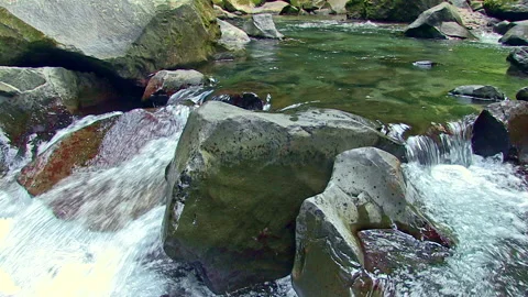 Clear stream flowing over rocks in the rainforest in Costa Rica Stock Footage 161805145