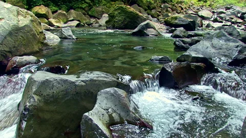 Clear stream flowing over rocks in the rainforest in Costa Rica Stock Footage 161805147