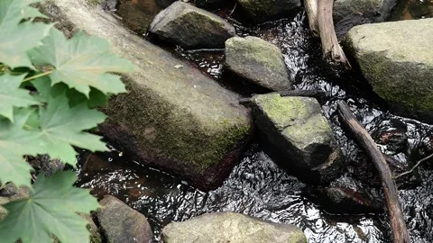 Clear Stream Flowing Over Rocks Stock Footage 318371855
