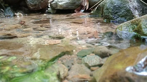 Clear Stream Flowing Over Rocks in Tropical Forest – Cinematic Nature Footage Stock Footage 329767995
