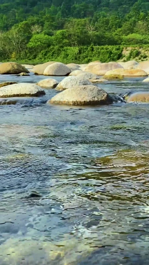 Clear Stream Flowing Over Smooth Round Rocks with Lush Green Khasi Hills in the Stock Footage 329222475