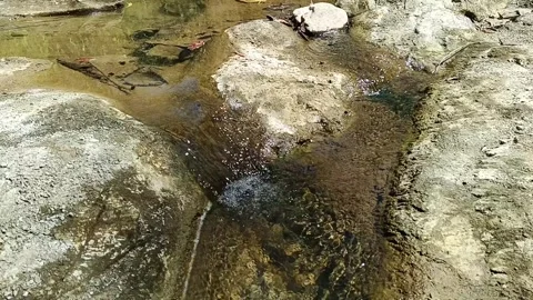 Clear stream flowing over smooth gray rocks with gentle ripples and bubbles Stock Footage 344429319
