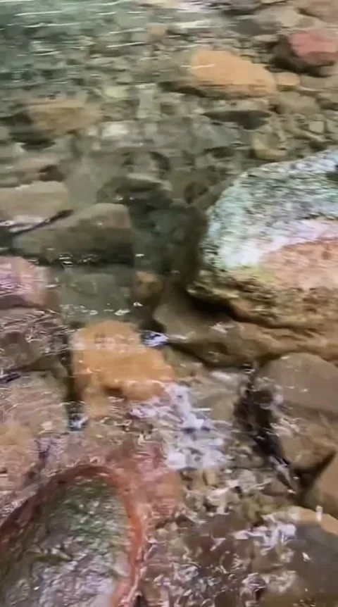 Clear Stream Flowing Over Stones Video stock 341629092