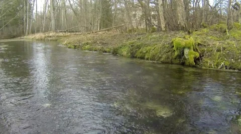 Clear stream flowing in the park Stock Footage 48969093