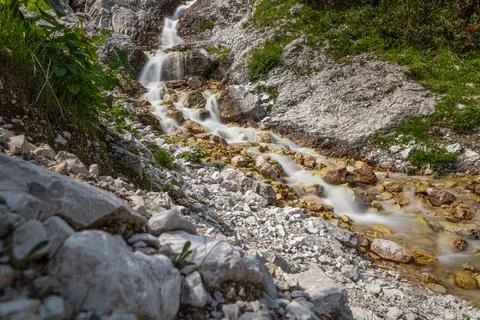 Clear stream flowing Stock Photos