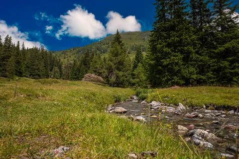 Clear stream flowing Stock Photos