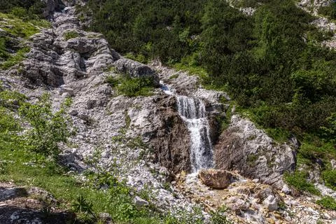 Clear stream flowing Stock Photos