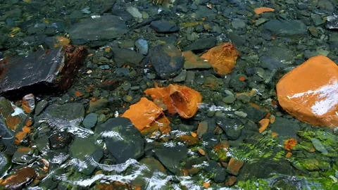 Clear stream flowing through bright yellow stone boulders, flowing over stone Stock Footage 231754859