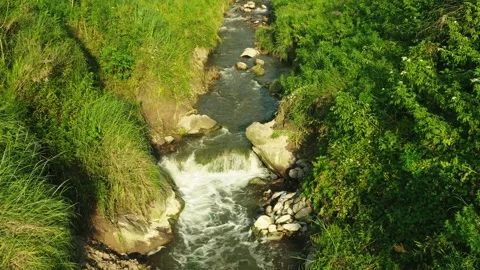 Clear stream flowing through a lush green landscape in bright summer sunlight Video stock 342095666
