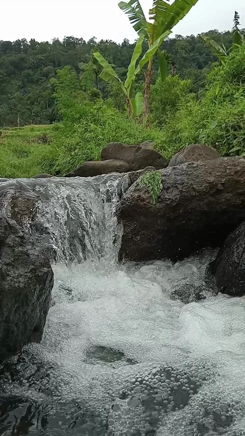 Clear Stream Flowing Through Rocks in Natural Forest Setting Stock Footage 330348397
