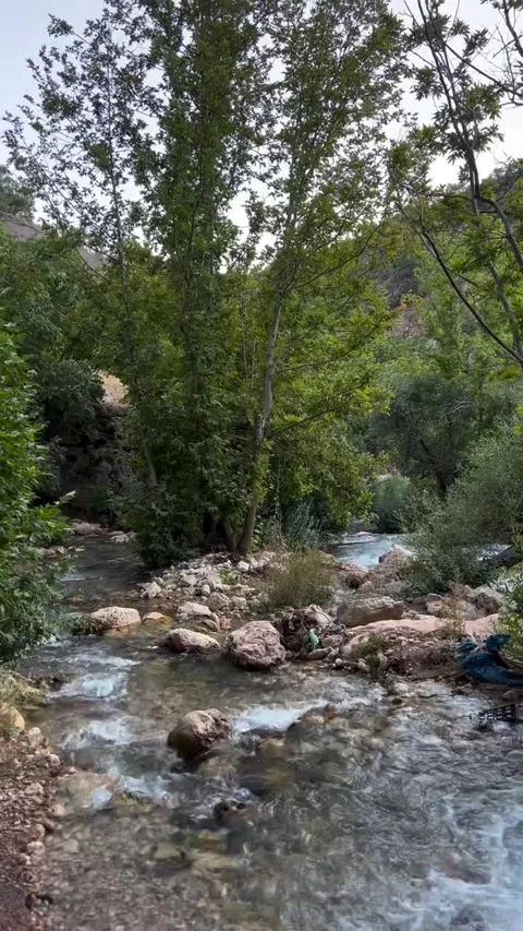 Clear Stream Flowing Through Rocky Forest Landscape Stock Footage 342267861