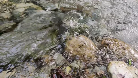 Clear Stream Flowing Through Stone Boulders in the Reserve.  Stock Footage 202842934