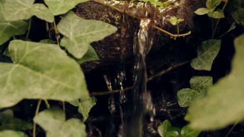 Clear stream flowing through stone rocks and leaves Stock Footage 219613771