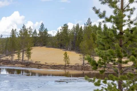 A clear stream flows actively through an arctic landscape in Urho Kekkosen Na Foto stock