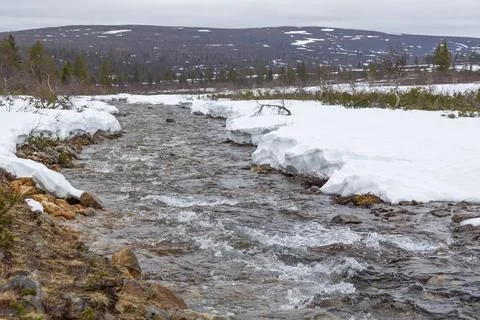 A clear stream flows actively through an arctic landscape in Urho Kekkosen Na Stock Photos