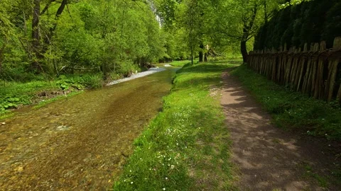 Clear stream flows beside a quiet, grassy path. Gradac River, Serbia Vídeos de archivo 335073294