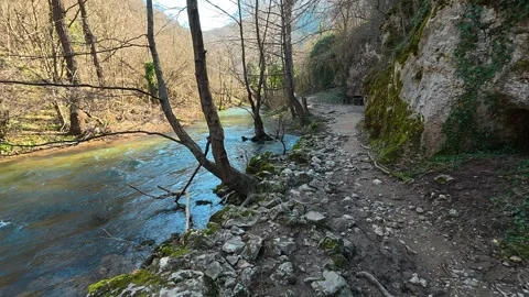 Clear stream flows beside rocky bank. Mount Ozren Vidéo 330942474