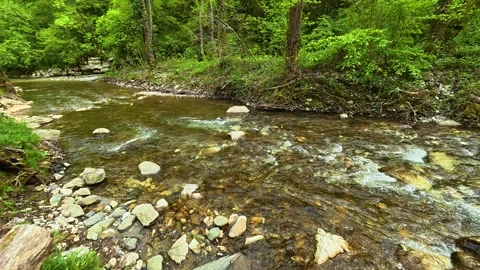 Clear stream flows gently over smooth stones. Gradac River, Serbia Stockbeeldmateriaal 335074474