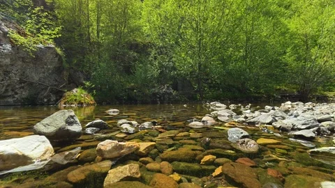 Clear stream flows gently over smooth stones. Gostilje Waterfall, Serbia. Vídeos de archivo 337060701