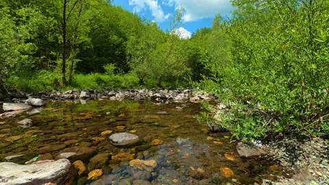 Clear stream flows gently over smooth stones. Gostilje Waterfall, Serbia. Vídeos de archivo 337061006
