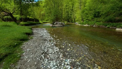 Clear stream flows gently through lush green forest. Gradac River, Serbia Stock Footage 335073322