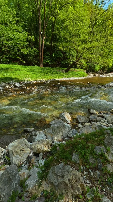 Clear stream flows over rocks in a forest. Gradac River, Serbia. Vertical Видео 334681113