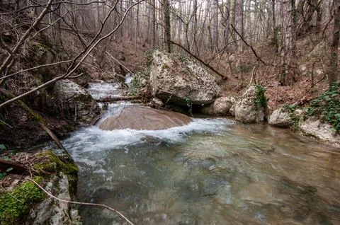 Clear stream flows over rocks in a forest. Bare trees line the water's edge. Stock Photos