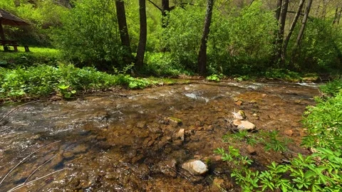 Clear stream flows over smooth stones. Balkan, Eastern Europe, POV Vidéo 333588308