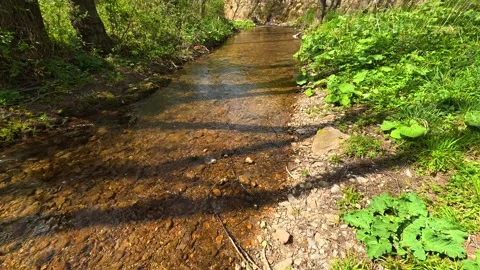Clear stream flows over smooth stones. Balkan, Eastern Europe, POV Stock Footage 333589835