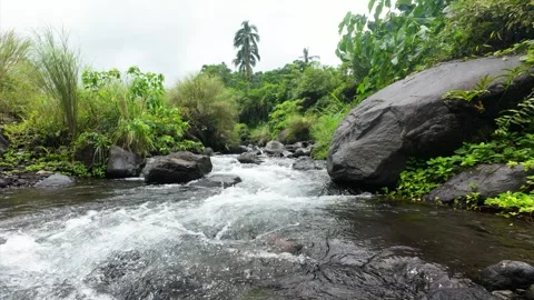 Clear stream flows over smooth rocks in a tropical forest. Vídeos de archivo 334626440