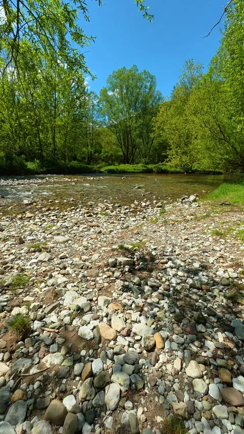 Clear stream flows over smooth stones. Gradac River, Serbia. Vertical Видео 334680000