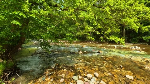 Clear stream flows over smooth stones. Gradac River, Serbia Vídeos de archivo 335074614
