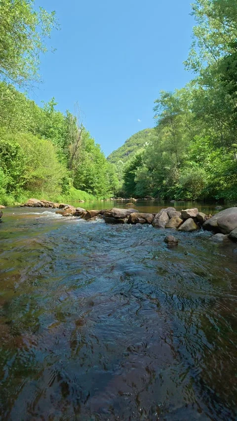 Clear stream flows through forested valley. Temska River Canyon, Vertical 動画素材 345897766