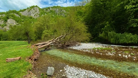Clear stream flows through green meadow and forest. Gradac River, Serbia Stockbeeldmateriaal 335073450