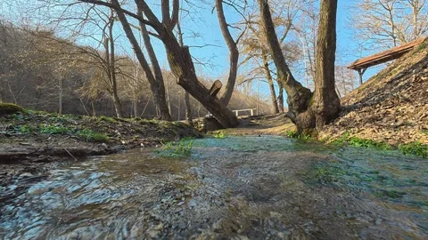 Clear stream flows through leafless trees. Mount Rtanj Area, Serbia Vidéo 331281429