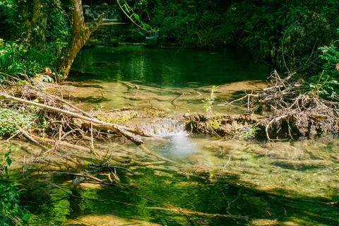 Clear stream flows through lush greenery in a serene natural setting on a s.. Stock Photos