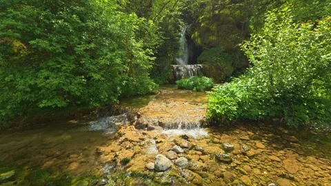 Clear stream flows through mossy stones. Gostilje Waterfall, Serbia. Video stock 337060957