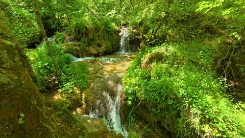 Clear stream flows through mossy forest floor. Gostilje Waterfall, Serbia. Stock Footage 337061491