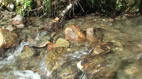 Clear stream Vídeo Stock 264272