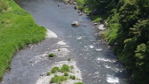 Clear stream Stock Footage 78995617