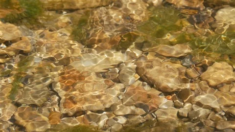 Clear Stream Stock Footage 89739360
