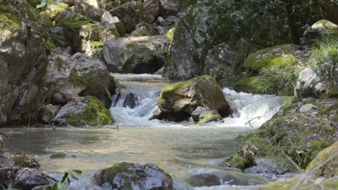 Clear Stream Stock Footage 332397456