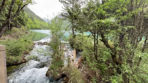 Clear Stream Merging into Turquoise Lake and Lush Mountains at Jiuzhaigou Vídeos de archivo 336882459