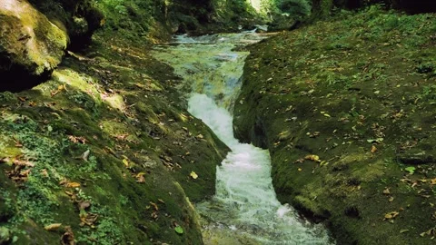 Clear stream of mountain river water flowing between rocks covered with moss Stock Footage 250145956
