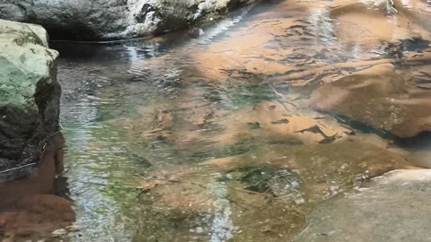 Clear Stream Natural Pool Rock Canopy Stock Footage 341023332