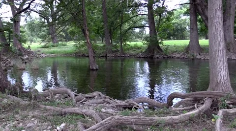 Clear stream with open water slowing going by Stock Footage 53311893