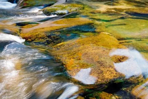 Clear stream Stock Photos