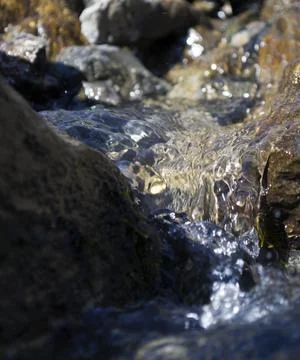 Clear stream Stock Photos