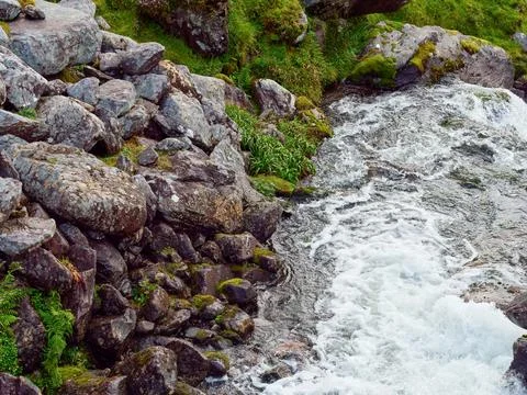 Clear stream rapidly flows through a rocky landscape. Rocks covered in moss Stock Photos